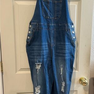 Women’s Denim Blue Distressed Overalls